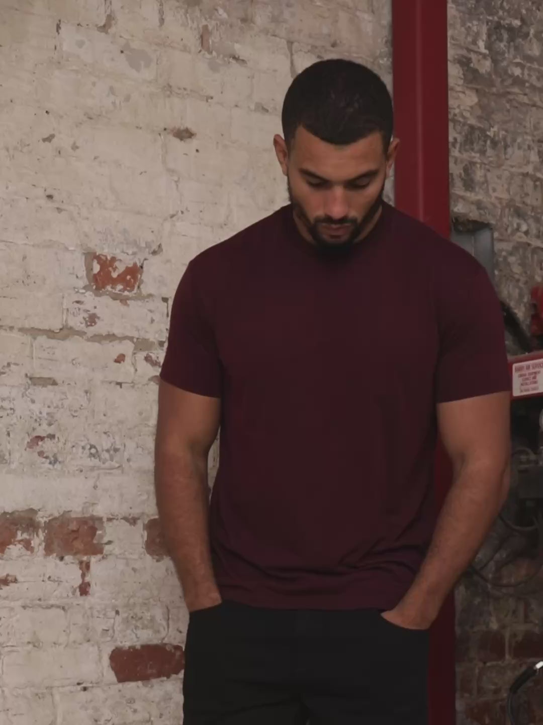 Load and play video in Gallery viewer, Tall Fig Crew Neck T-Shirt
